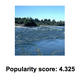 Illustration for article titled A Calculator That Predicts How Popular Your Photograph Will Be Online